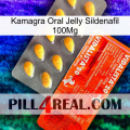 Kamagra Oral Jelly Sildenafil 100Mg new01